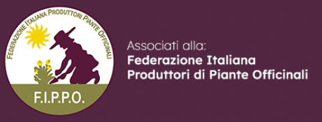 Footer - Main
